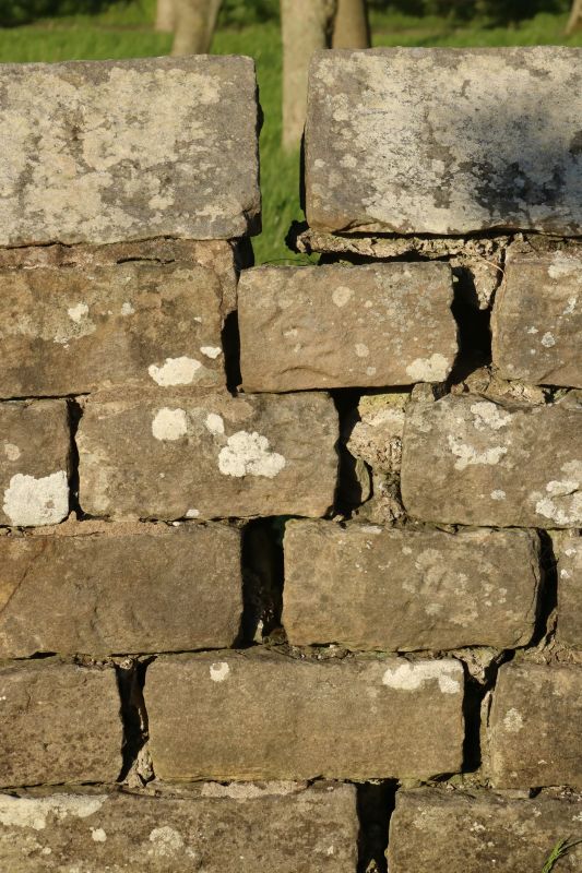 Stone Wall Repair in Duluth, GA
